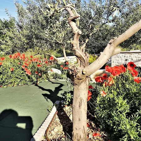 Villa Manda Korina - Three-bedroom With Private Pool *