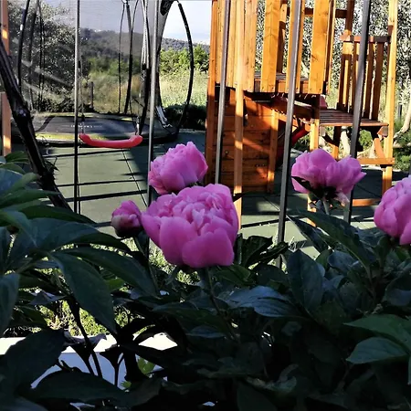 Manda Korina - Three-bedroom With Private Pool Villa *